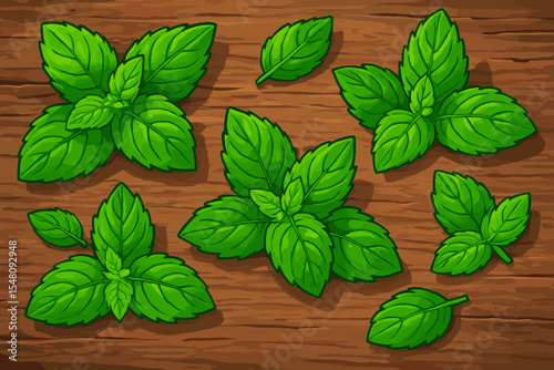 Fresh green mint leaves cartoon set, detailed vector illustration. Aromatic herbal culinary plants, natural organic seasoning. Rustic wooden background, kitchen cooking ingredients concept