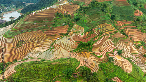 Tableau sur toile Water season flows into terraced fields and rice planting begins in Mu Cang Chai, Yen Bai