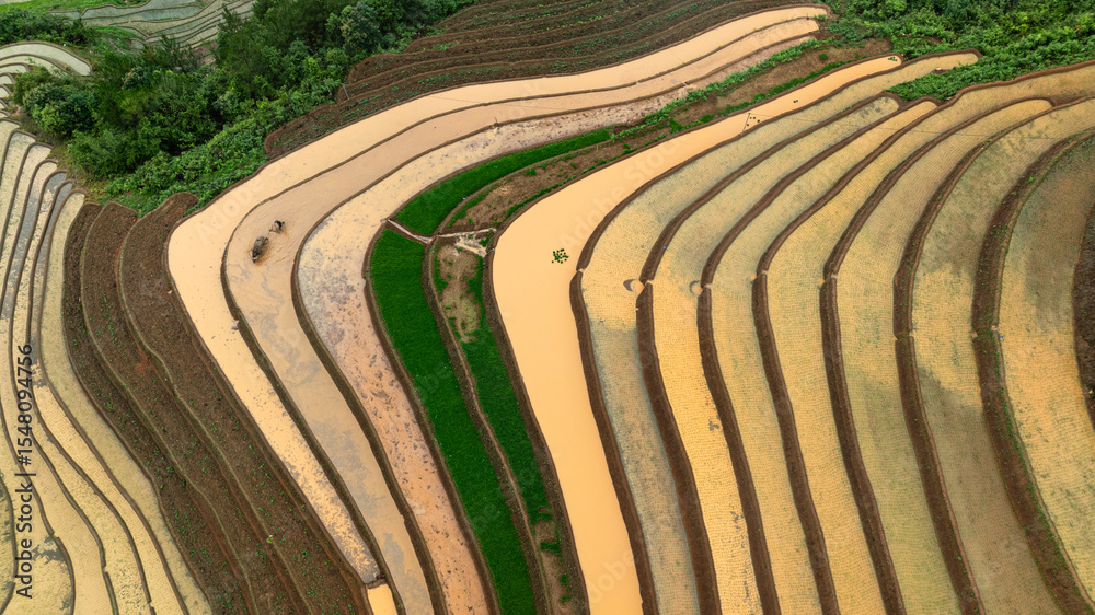 Fototapeta premium Water season flows into terraced fields and rice planting begins in Mu Cang Chai, Yen Bai. Photo taken in Yen Bai on June 22, 2025.