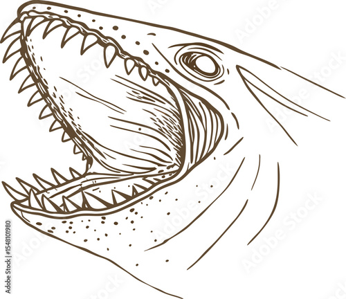Open shark mouth with sharp teeth aggressive sea predator illustration, danger and marine wildlife concept