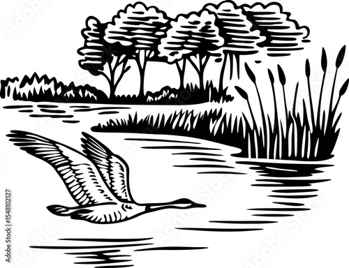 Flying goose over calm river with reeds and trees nature landscape, tranquil wetland wildlife illustration