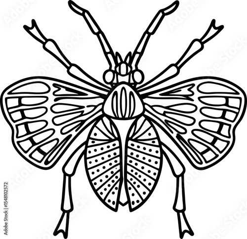 Intricate insect  illustration detailed beetle outline art for coloring, nature education, biology design