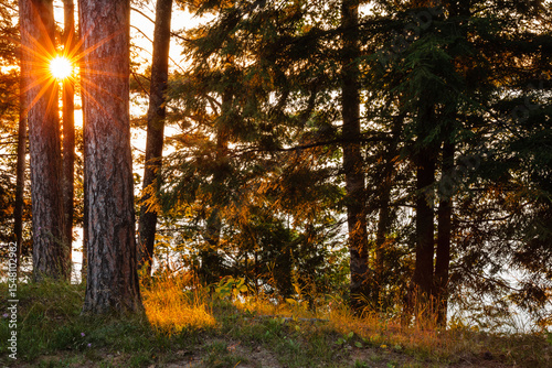 Summer evening sunset over Sand Lake near Lac du Flambeau, Wisconsin, creating a brilliant sunstar through the shoreline pines
