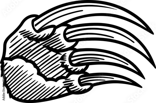 Wild animal claw illustration fierce beast paw with sharp talons, aggressive sketch outline, predator attack symbol