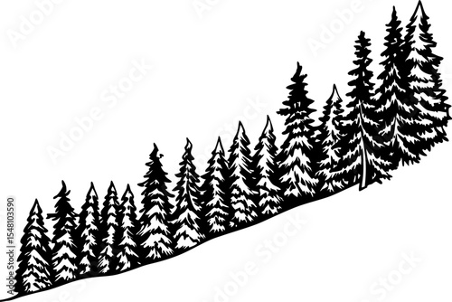 Pine forest silhouette on sloped hillside evergreen trees, woodland landscape, nature scenery, wilderness illustration