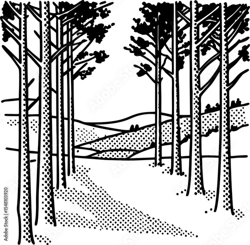 Dense pine forest with tall trees and scenic path black and white nature illustration, tranquil woodland landscape