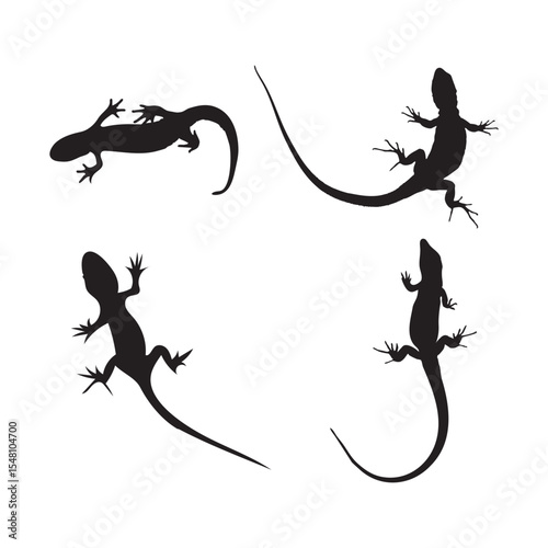 black lizard silhouette crawling reptile vector illustrations on white background
