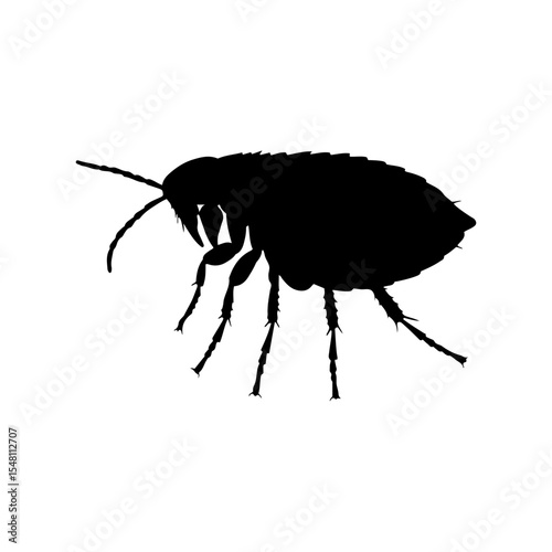AFlea insect silhouette vector flat illustration design.