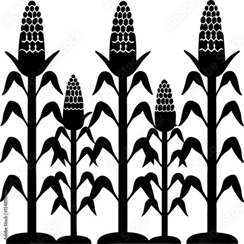 cornfield silhouette  this image shows a black sil.eps