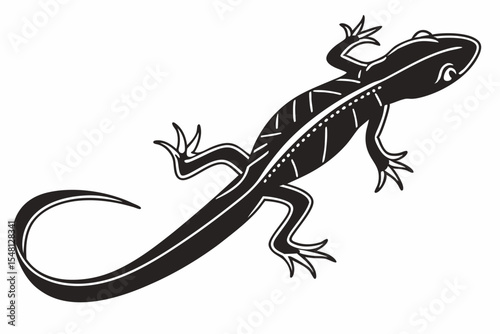 newt sihouette black vector 