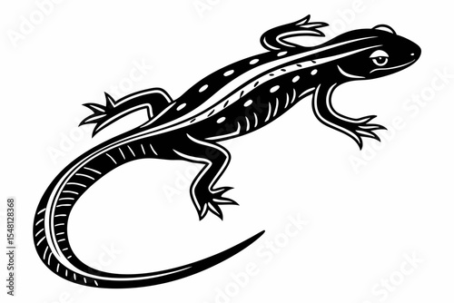 newt sihouette black vector 