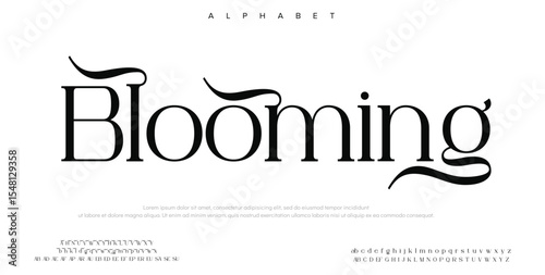Elegant font type or luxury premium typeface, vector English royal alphabet. Classic typography in modern or old art deco style, serif letters for modern or retro poster font
