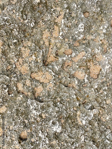 Rough Stone Texture: A detailed, high-angle shot reveals the rugged beauty of a weathered stone surface, perfect for adding natural depth and character to your creative projects.