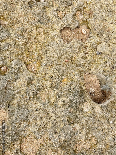 Textured stone background: A close-up photograph that captures the weathered surface of a textured stone, showcasing the natural beauty of geological formations and earthy tones.