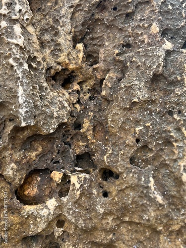 Podobny obraz