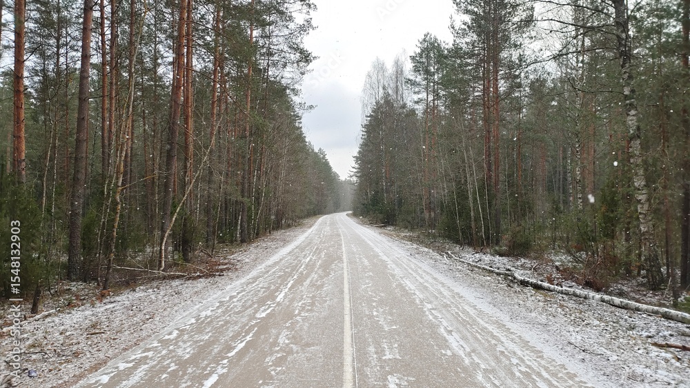 Obraz premium The asphalt road with markings passes through a mixed forest. There is deadwood lying on the roadside. The first snow is on the ground and continues to fall. Overcast autumn weather