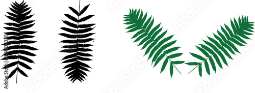 Elegant Fern Leaf Silhouettes and Green Leaf Design Elements
