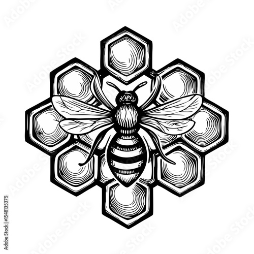 Bee on honeycomb. Detailed hand-drawn engraving of honeybee on hexagonal honeycomb cells. Vintage style insect illustration perfect for honey packaging, beekeeping labels, or natural product branding.