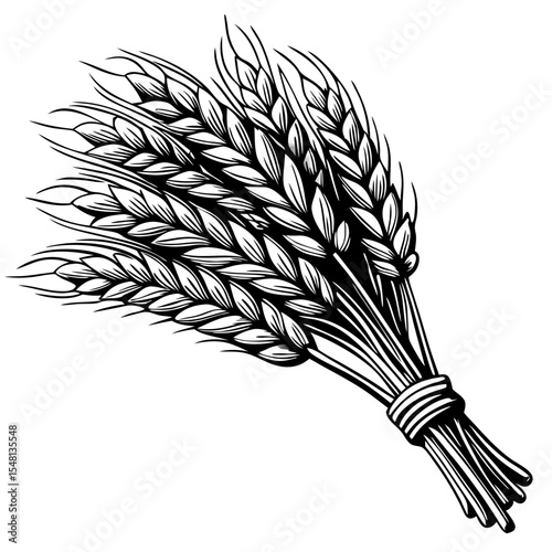 Hand-drawn wheat bundle sketch. Detailed black and white illustration of wheat stalks tied together.  High-quality wheat sheaf drawing perfect for bakery logos, farm branding.