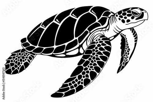 hawksbill turtle sihouette black vector 