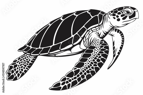 hawksbill turtle sihouette black vector 