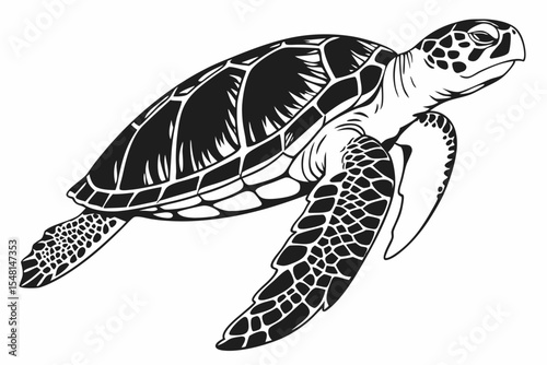 hawksbill turtle sihouette black vector 