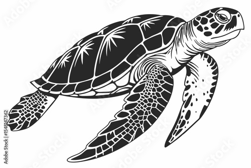 hawksbill turtle sihouette black vector 