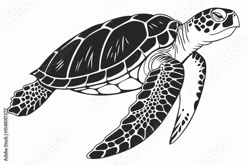 hawksbill turtle sihouette black vector 