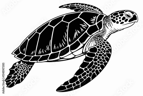 hawksbill turtle sihouette black vector 
