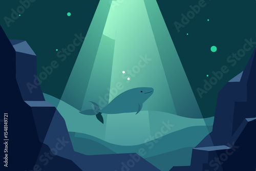 shark in the sea