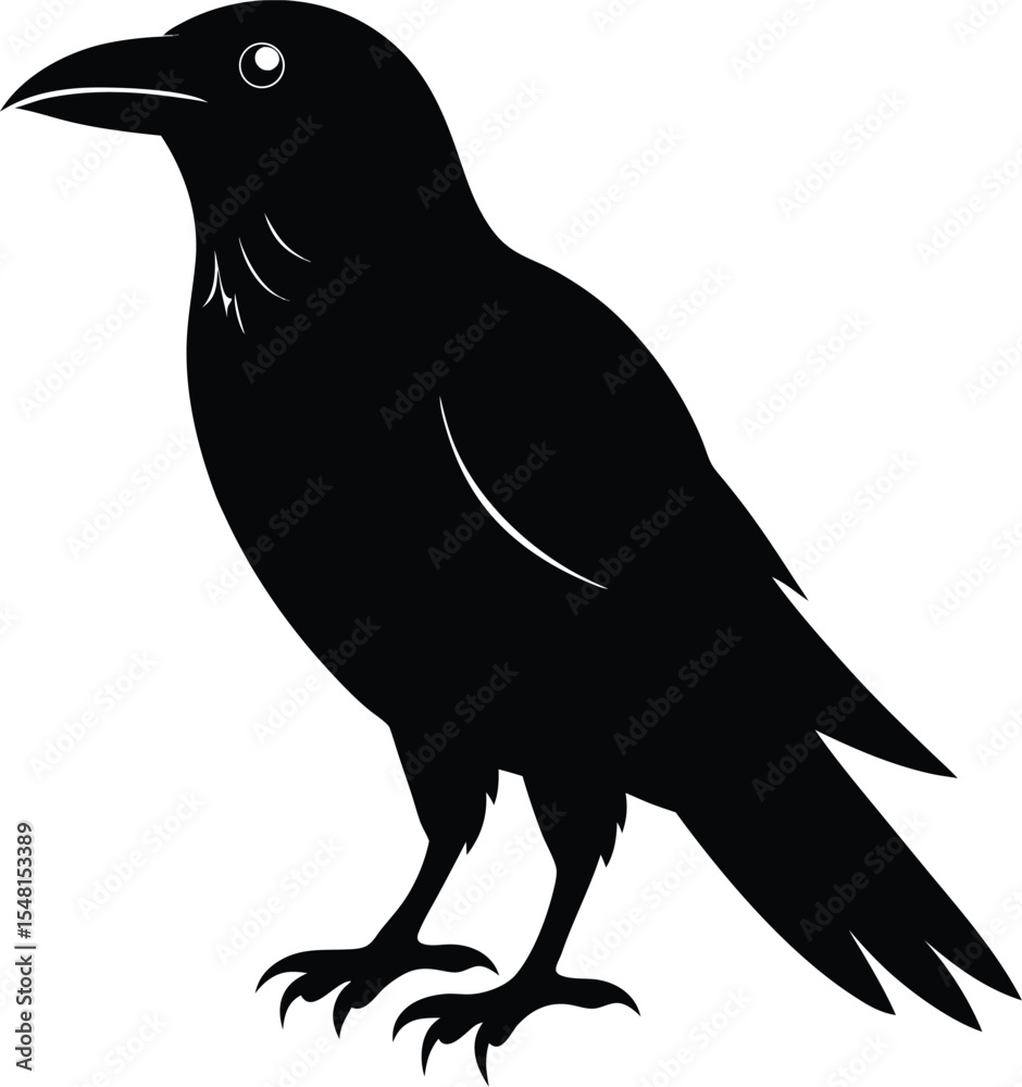 Fototapeta premium raven or crow bird vector – symbol of mystery and darkness, silhouette icon illustration design for halloween.