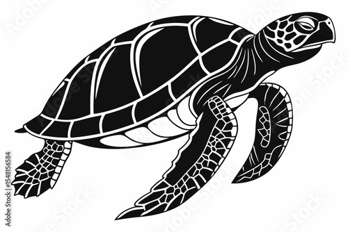 gal pagos tortoise silhoette black vector