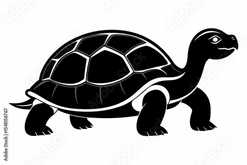 gal pagos tortoise silhoette black vector