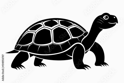 gal pagos tortoise silhoette black vector