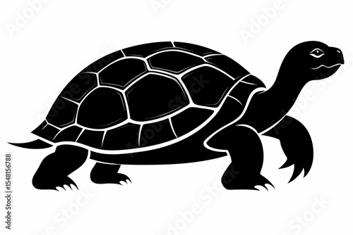 gal pagos tortoise silhoette black vector