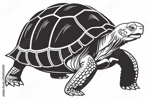 gal pagos tortoise silhoette black vector