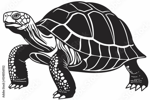 gal pagos tortoise silhoette black vector