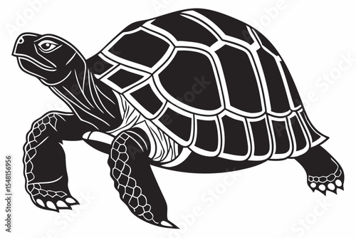 gal pagos tortoise silhoette black vector