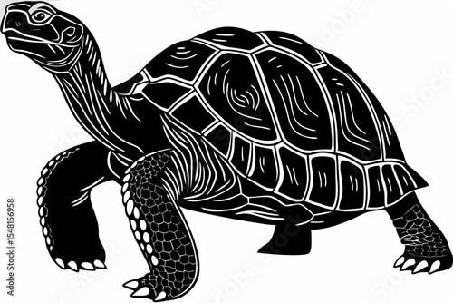 gal pagos tortoise silhoette black vector
