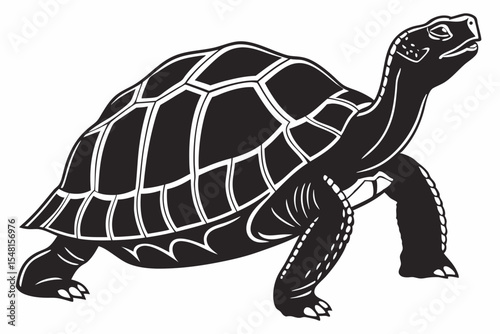 gal pagos tortoise silhoette black vector