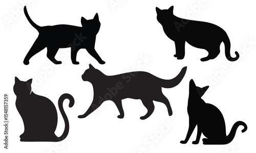 Cat silhouette collection. Set of black cat silhouette. Kitten silhouette collection