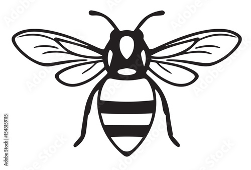 A black and white vector illustration of a bee with detailed wings, antennae, and striped body, viewed from above.