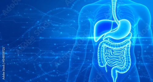 Futuristic Blue Digital Illustration of Human Digestive System with Tech Elements