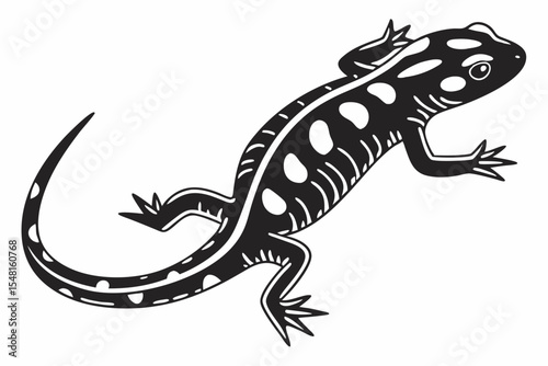 fire salamander sihouette black vector 