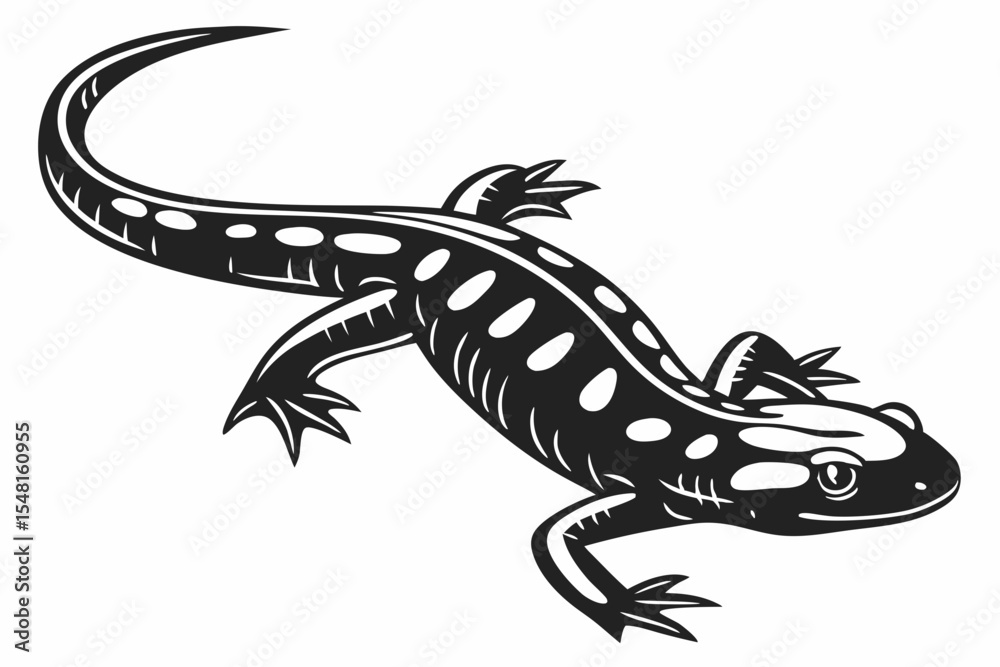 Fototapeta premium fire salamander sihouette black vector 
