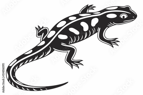 fire salamander sihouette black vector 