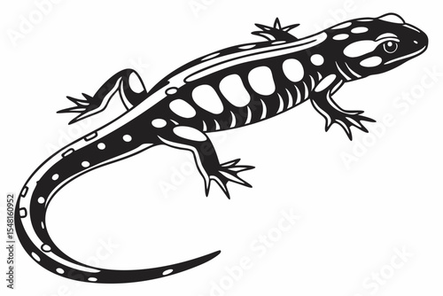 fire salamander sihouette black vector 