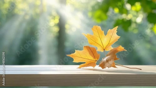 Autumn Maple Leaves on Wooden Surface: Three amber maple leaves rest gently on a light wooden surface.