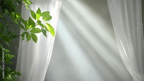 Embracing Nature's Light: Sunlight streams through sheer curtains, illuminating vibrant green leaves in a serene indoor scene.