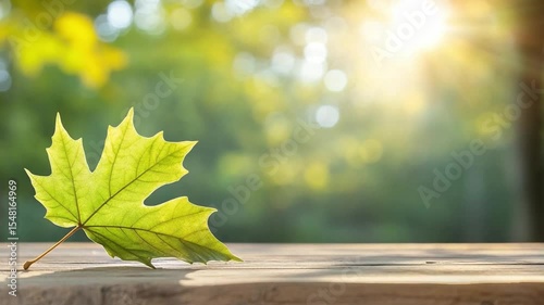 Sunlit Maple Leaf: A vibrant green maple leaf basks in the warm sunlight, delicately resting on a wooden surface. The sun filters through the leafy canopy in the background.